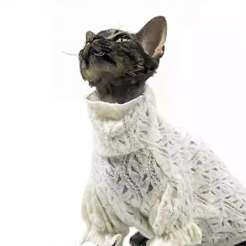 Katzen-Rollkragenshirt aus weicher Spitze, elegant, hautfreundlich, warm, Pullover, Kleidung für haarlose Sphynx, Devon und alle Indoor-Kätzchen, Größe M Katzen-Rollkragenshirt aus weicher Spitze, elegant, hautfreundlich, warm, Pullover, Kleidung für haarlose Sphynx, Devon und alle Indoor-Kätzchen, Größe M von Urnat