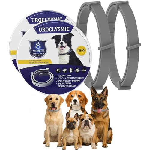 2 Stück Hundehalsbänder von UroClysmic