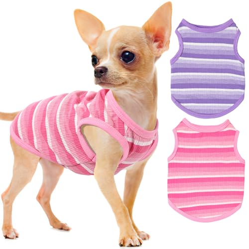 2 Stück gestreifte Hundekleidung für kleine Hunde, Mädchen, Jungen, Frühling Sommer, Hunde-Shirt, weich, elastisch, Welpenkleidung, Outfit für Chihuahua, Teetasse, atmungsaktiv, Mini-Dackel, 2 Stück gestreifte Hundekleidung für kleine Hunde, Mädchen, Jungen, Frühling Sommer, Hunde-Shirt, weich, elastisch, Welpenkleidung, Outfit für Chihuahua, Teetasse, atmungsaktiv, Mini-Dackel, von Uswalnna