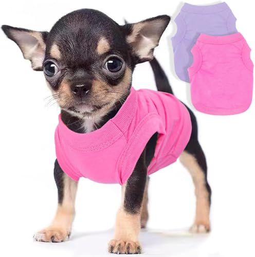 Hundekleidung für kleine Hunde, Mädchen, Jungen, Frühling, Sommer, Welpen, weiches Hunde-Shirt, einfarbig, Chihuahua-Kleidung, Haustierkleidung, niedliches Katzentuch, Größe XXS ~ M, Rosa, Lila, Größe Hundekleidung für kleine Hunde, Mädchen, Jungen, Frühling, Sommer, Welpen, weiches Hunde-Shirt, einfarbig, Chihuahua-Kleidung, Haustierkleidung, niedliches Katzentuch, Größe XXS ~ M, Rosa, Lila, Größe von Uswalnna