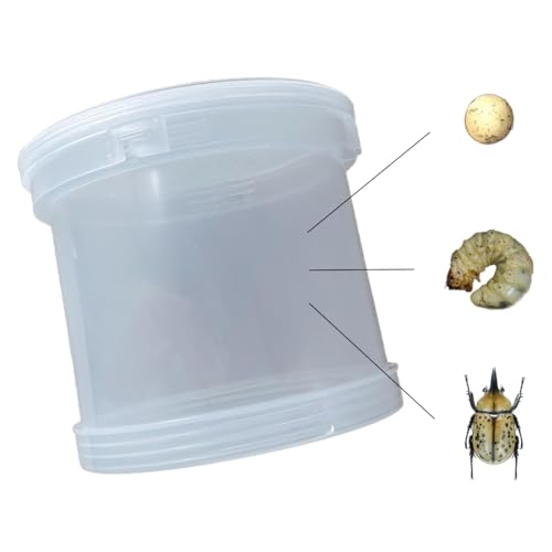 UwilViwl Käfer-Terrarium-Set, Kunststoff-Crickethalter für Käfer, Eidechsen, Schmetterlinge, Frösche, Mantis oder Schlangen, Zuchtbox, 16,3 x 16,3 x 14 cm, 2,3 kg UwilViwl Käfer-Terrarium-Set, Kunststoff-Crickethalter für Käfer, Eidechsen, Schmetterlinge, Frösche, Mantis oder Schlangen, Zuchtbox, 16,3 x 16,3 x 14 cm, 2,3 kg von UwilVwil