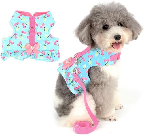 Hundegeschirr, Weste mit Leine, süß, verstellbar, weich gepolstert, Haustier-Outfit für kleine Hunde, ausbruchsicher, Wanderjacke für Welpen, Outdoor, tägliches Spazierengehen, Training, Reisen von UzeEnde