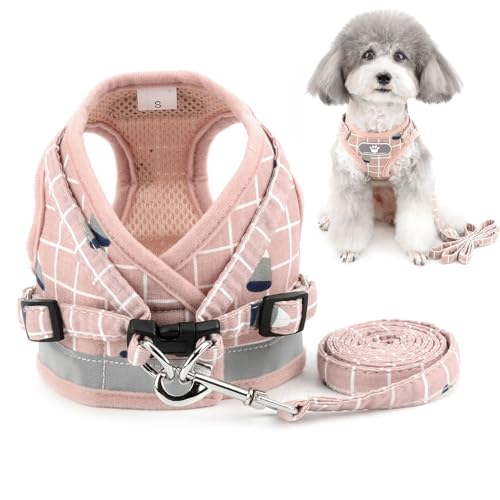 Hundegeschirr gegen Ziehen, mit Leine, weich gepolstert, Haustier-Outfit für kleine Hunde, ausbruchsicher, reflektierend, zum Hineinsteigen, für Welpen, Outdoor, tägliches Spazierengehen, Training Hundegeschirr gegen Ziehen, mit Leine, weich gepolstert, Haustier-Outfit für kleine Hunde, ausbruchsicher, reflektierend, zum Hineinsteigen, für Welpen, Outdoor, tägliches Spazierengehen, Training von UzeEnde
