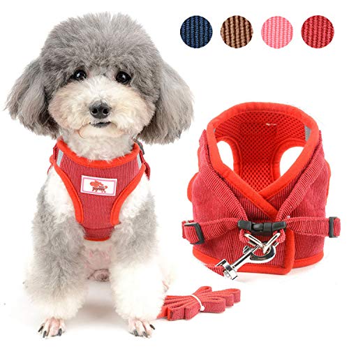 Hundegeschirr gegen Ziehen, mit Leine, weiches Cord, gepolstert, Haustier-Outfit für kleine Hunde, ausbruchsicher, Wanderjacke für Welpen, Outdoor, tägliches Spazierengehen, Training, Reisen (Rot Hundegeschirr gegen Ziehen, mit Leine, weiches Cord, gepolstert, Haustier-Outfit für kleine Hunde, ausbruchsicher, Wanderjacke für Welpen, Outdoor, tägliches Spazierengehen, Training, Reisen (Rot von UzeEnde