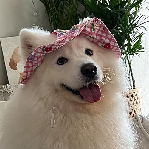 Knieschoner für Hunde, atmungsaktiv, niedlicher Aufdruck, bequeme Beinschutzhülle, verhindert Lecken, Kauen, für mittelgroße und große Hunde, den täglichen Gebrauch im Freien (Hat#6, L) von UzeEnde