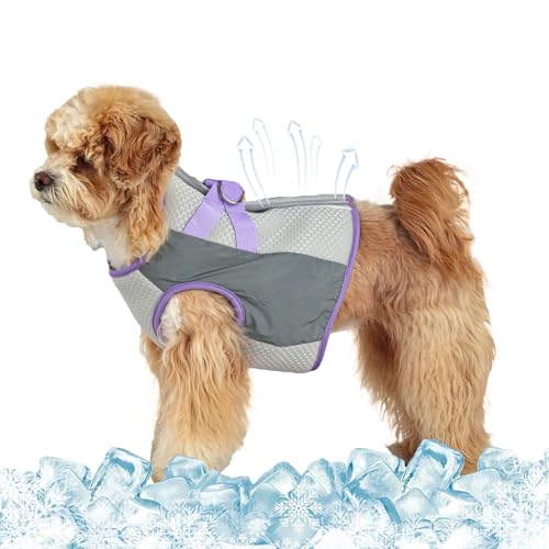 Kühlendes Hundegeschirr – Sommer, atmungsaktive Netz-Kühlweste, leichte Haustierjacke, reflektierendes Hunde-Shirt für kleine, mittelgroße und große Hunde, Wärmeentlastung, Outdoor, Spazierengehen von UzeEnde