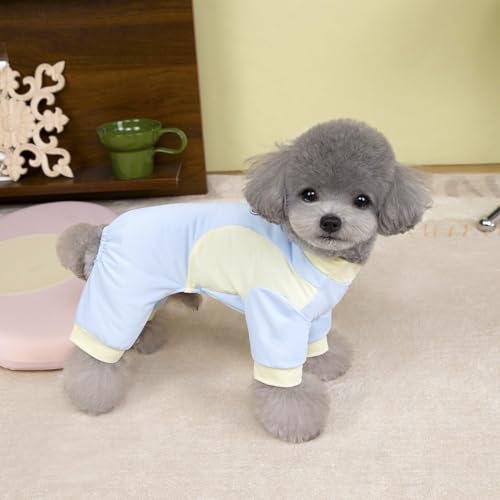 Kühlendes T-Shirt für Hunde, Sommer, leicht, atmungsaktiv, schnell trocknend, Eisseide, Netzstoff, dehnbares, kurzärmliges Oberteil mit D-Ring für kleine Hunde, Spaziergänge im Freien, Training von UzeEnde
