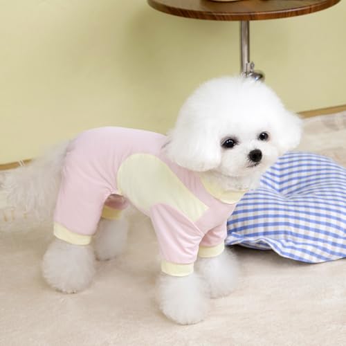 Kühlendes T-Shirt für Hunde, Sommer, leicht, atmungsaktiv, schnell trocknend, Eisseide, Netzstoff, dehnbares, kurzärmliges Oberteil mit D-Ring für kleine Hunde, Spaziergänge im Freien, Training von UzeEnde