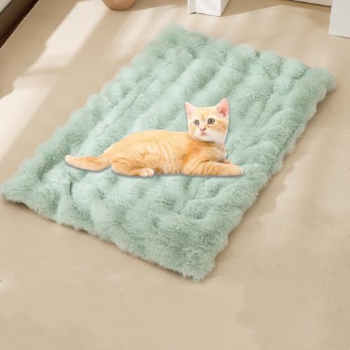 UzeEnde Selbstwärmendes Katzenbett für Hauskatzen – Plüsch-Samt-Haustierkissen mit rutschfester Unterseite, waschbar, gemütliches Schlafkissen für Winter, Kätzchen, Hunde, Welpen, Käfig, Boden, Couch UzeEnde Selbstwärmendes Katzenbett für Hauskatzen – Plüsch-Samt-Haustierkissen mit rutschfester Unterseite, waschbar, gemütliches Schlafkissen für Winter, Kätzchen, Hunde, Welpen, Käfig, Boden, Couch von UzeEnde