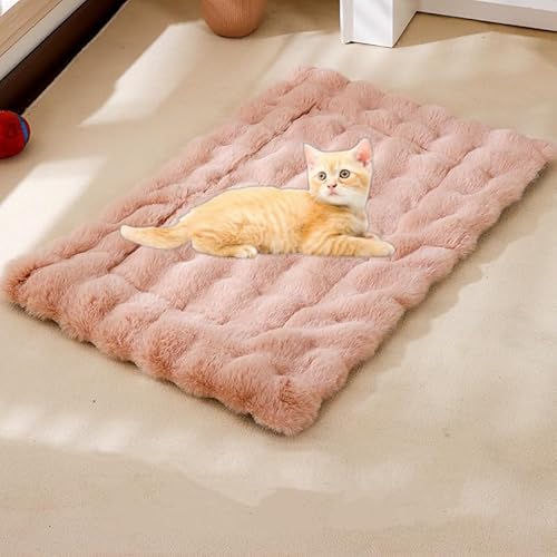 UzeEnde Selbstwärmendes Katzenbett für Indoor-Katzen – Plüsch-Samt-Haustierkissen mit rutschfester Unterseite, waschbar, gemütliches Schlafkissen für Winter, Kätzchen, Hunde, Welpen, Käfig, Boden UzeEnde Selbstwärmendes Katzenbett für Indoor-Katzen – Plüsch-Samt-Haustierkissen mit rutschfester Unterseite, waschbar, gemütliches Schlafkissen für Winter, Kätzchen, Hunde, Welpen, Käfig, Boden von UzeEnde