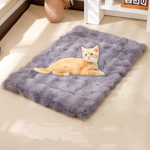 UzeEnde Selbstwärmendes Katzenbett für Indoor-Katzen – Plüsch-Samt-Haustierkissen mit rutschfester Unterseite, waschbar, gemütliches Schlafkissen für Winter, Kätzchen, Hunde, Welpen, Käfig, Boden UzeEnde Selbstwärmendes Katzenbett für Indoor-Katzen – Plüsch-Samt-Haustierkissen mit rutschfester Unterseite, waschbar, gemütliches Schlafkissen für Winter, Kätzchen, Hunde, Welpen, Käfig, Boden von UzeEnde