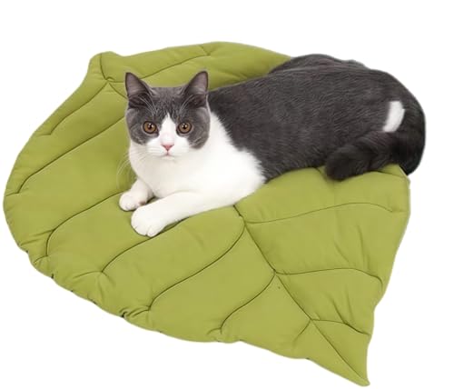 UzeEnde Wendbare Haustiermatte in Blattform – weiche Baumwolle, Ginkgo-Katze, Hund, gemütlich, verdicktes Kissen, doppelseitig, waschbar, Bettmatte für Kiste, Sofa, Couch, Boden, Reisen, Innenhütten UzeEnde Wendbare Haustiermatte in Blattform – weiche Baumwolle, Ginkgo-Katze, Hund, gemütlich, verdicktes Kissen, doppelseitig, waschbar, Bettmatte für Kiste, Sofa, Couch, Boden, Reisen, Innenhütten von UzeEnde