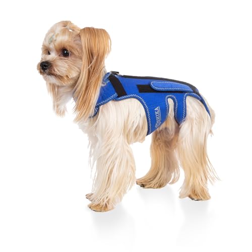 Uzhika Rückenstütze für Hunde Arthritis, Wirbelsäulenverletzungen, IVDD, Rückenprotektor, Schmerzlinderung, Wirbelsäulen-chirurgische Erholung und Rehabilitation – Haustier-Rückenbandage (klein) von Uzhika