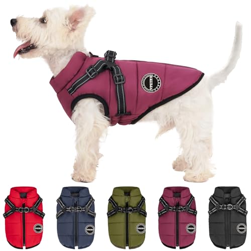 V.PET.B.R Wintermantel – Hundejacke, gepolsterte Fleece-Weste mit integriertem Geschirr, wasserdicht, winddicht und reflektierend, verstellbarer Schnee-Haustiermantel für kleine und mittelgroße Hunde von V.PET.B.R