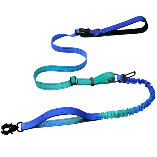 Strapazierfähige, freihändige Hundeleine mit Schnellverschluss-Karabiner und verstellbarem Bungee-Hundeleine, für Spaziergänge und Training, mit Auto-Sicherheitsgurt, 1,2–1,8 m, Aquamarin Strapazierfähige, freihändige Hundeleine mit Schnellverschluss-Karabiner und verstellbarem Bungee-Hundeleine, für Spaziergänge und Training, mit Auto-Sicherheitsgurt, 1,2–1,8 m, Aquamarin von VAANNQOUU