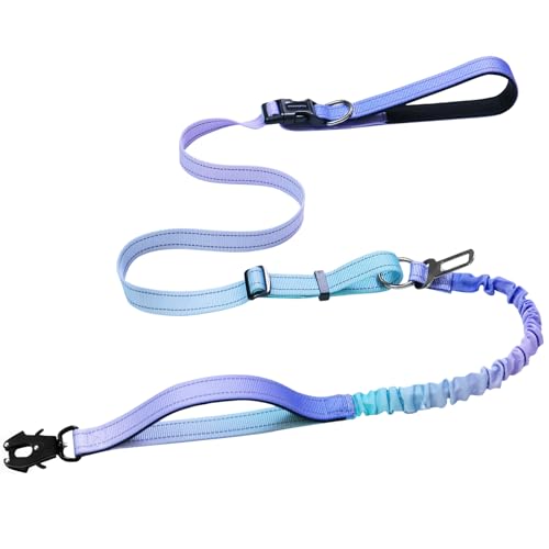 Strapazierfähige Hundeleine mit Schnellverschluss-Karabiner und verstellbarem Bungee-Zugband, für Spaziergänge und Training, mit Auto-Sicherheitsgurt, 1,2 - 1,8 m, Violett Strapazierfähige Hundeleine mit Schnellverschluss-Karabiner und verstellbarem Bungee-Zugband, für Spaziergänge und Training, mit Auto-Sicherheitsgurt, 1,2 - 1,8 m, Violett von VAANNQOUU