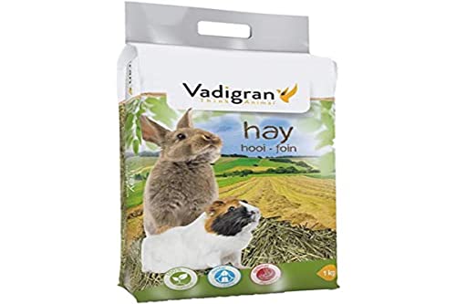 VADIGRAN Vadibed Alpenheu für Kleintiere, 30 l, 1 kg von VADIGRAN
