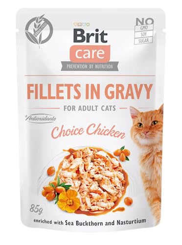 VAFO PRAHA s.r.o. Brit Katzenfutter Nassfutter Katzenpflege Sasz.85g FG Wahl von Huhn / 24 von Brit