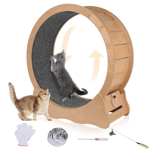 VAIDPRO Katzenrad, Katzen-Trainingsrad, 35 Zoll Laufräder für Indoor-Katzen, stabile geräuschlose Laufbandrolle mit Teppichlaufbahn, Gewichtsverlustgerät, Sportgeräte für Haustiere (M) von VAIDPRO