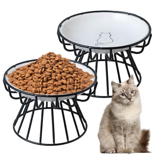 2 Stück Erhöhter Futternapf Katze - 6 Zoll Futternapf Katze mit Erhöht Ständer Metallhalter Base Haustiere, Weiß Fressnapf Katzen mit 2pcs Napfunterlage Silikon, Katzenschüssel für Katzen und Welpen von VAIGU:OA
