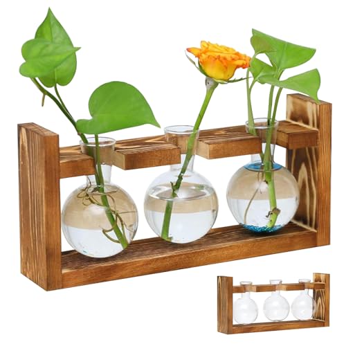 Pflanzen Propagation Station für Wohnzimmer, Kleine Vase Glas Mini Terrarium mit Holz-Rahmen Grau Blumenvase Vintage Deko für Plant Hydrokultur Home Büro Wohnzimmer Schreibtisch Tischdeko Fensterbank Pflanzen Propagation Station für Wohnzimmer, Kleine Vase Glas Mini Terrarium mit Holz-Rahmen Grau Blumenvase Vintage Deko für Plant Hydrokultur Home Büro Wohnzimmer Schreibtisch Tischdeko Fensterbank von VAIGU:OA