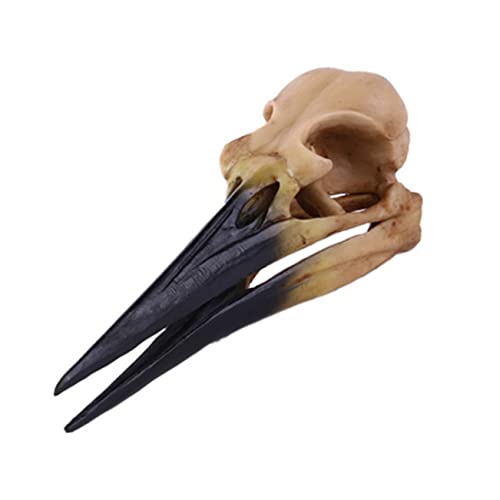 VALICLUD 1 Stück Dinosaurier-Vogel-Schädel Hausdekoration Für Zuhause Reptilien-Schreibtischaufsatz 3D-Modell Reptilienöl Aquarium-Dekoration Artware von VALICLUD