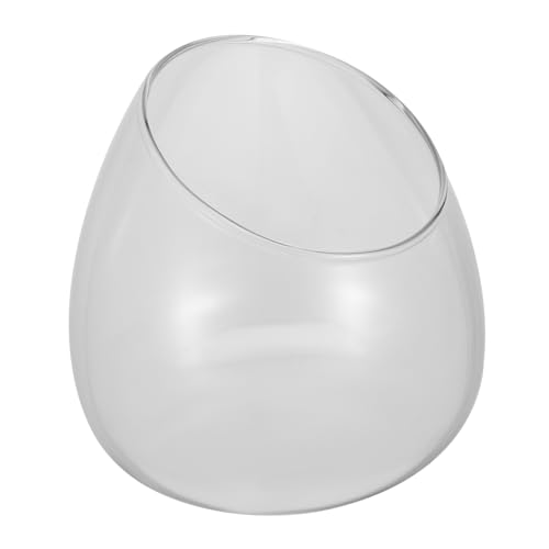 VALICLUD 1Stück Schrägflasche Mikro Terrarium Glasvase für Sukkulente Pflanzen Dekorativer für Zuhause Schlafzimmer und Büro Langlebiges Design Kreatives für Freunde von VALICLUD