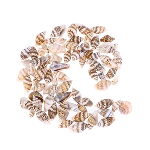 VALICLUD 500stücke Natürliche Muscheln Basteln Dekoration Strandmuscheln Muscheln Zum Dekorieren Für Aquarium Und Haus Handwerk VALICLUD 500stücke Natürliche Muscheln Basteln Dekoration Strandmuscheln Muscheln Zum Dekorieren Für Aquarium Und Haus Handwerk von VALICLUD