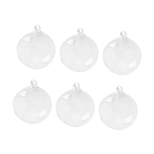 VALICLUD 6 Stück Teiliges Hängende Glasvasen Durchmesser Kugelform Flache Basis für Sukkulenten Terrarien Hochzeitsdekoration und DIY Heimdekoration VALICLUD 6 Stück Teiliges Hängende Glasvasen Durchmesser Kugelform Flache Basis für Sukkulenten Terrarien Hochzeitsdekoration und DIY Heimdekoration von VALICLUD