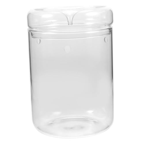 VALICLUD DIY Glasflasche für Pflanzen Terrarium mit Moos Ökologische Desktop Dekoration Kreative Mikrolandschaftsflasche für Büro Transparentes Design von VALICLUD