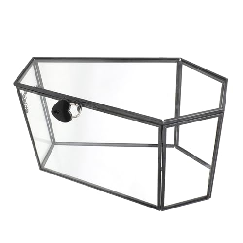 VALICLUD Glas-Display-Box Gothic Sarg Schmuckvitrine Transparentes Glasgehäuse mit Deckel Staubschutz für Halloween Dekoration Sammler Aufbewahrung von VALICLUD