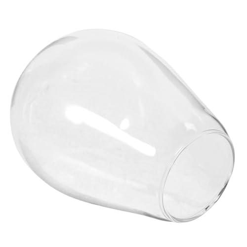VALICLUD Glas Pflanzenterrarium Transparent DIY Landschaftsflasche Ökologische Flasche Mikrolandschaft Vase für Wohnzimmer Balkon Büro Dekoration von VALICLUD