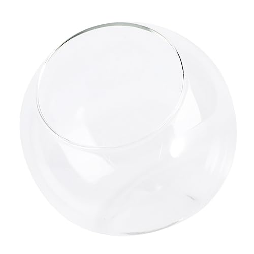 VALICLUD Mini Terrarium Glasflasche DIY Mikro Landschaft Behälter für Pflanzen Dekoration Büro Zuhause Transparentes Fläschchen für Gestaltung VALICLUD Mini Terrarium Glasflasche DIY Mikro Landschaft Behälter für Pflanzen Dekoration Büro Zuhause Transparentes Fläschchen für Gestaltung von VALICLUD