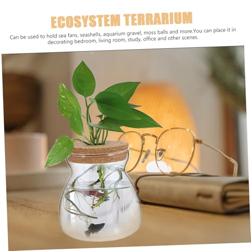 VALICLUD Mittelgroßer Glas Terrarium behälter mit Gelochtem Deckel Hydroponischer Pflanzgefäß für Sukkulenten und Mikrolandschaften Transparentes Ökosystem Glas Dekorativer Pflanzen Topf VALICLUD Mittelgroßer Glas Terrarium behälter mit Gelochtem Deckel Hydroponischer Pflanzgefäß für Sukkulenten und Mikrolandschaften Transparentes Ökosystem Glas Dekorativer Pflanzen Topf von VALICLUD