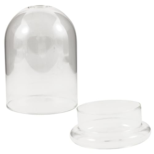 VALICLUD Pflanzenterrarium mit Glockenkuppe Dekorative Pflanzenflasche für Mikro Landschaften Transparentes Design für Wohnung und Büro Langlebiges und Leichtes Material von VALICLUD