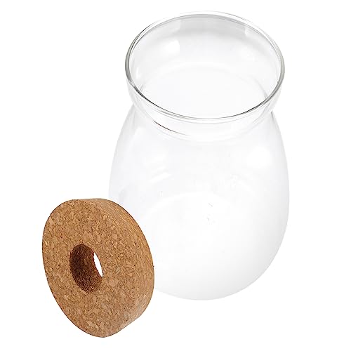VALICLUD Terrarium Glasbehälter für Hydroponische Pflanzen Großer Transparenter Pflanzentopf Deckel für Sukkulenten und Mikrolandschaften für Wohn und Büroszenen VALICLUD Terrarium Glasbehälter für Hydroponische Pflanzen Großer Transparenter Pflanzentopf Deckel für Sukkulenten und Mikrolandschaften für Wohn und Büroszenen von VALICLUD