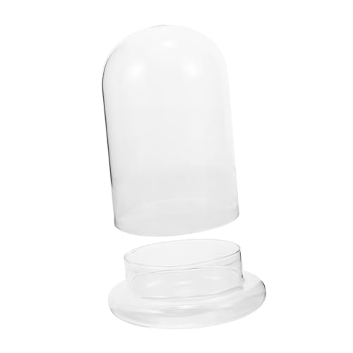 VALICLUD Transparente Pflanzflasche mit Glockenkuppe Ökologische Terrarium Vase für Mikro Landschaften Dekoration für Wohnzimmer und Büro Langlebig und Vielseitig von VALICLUD