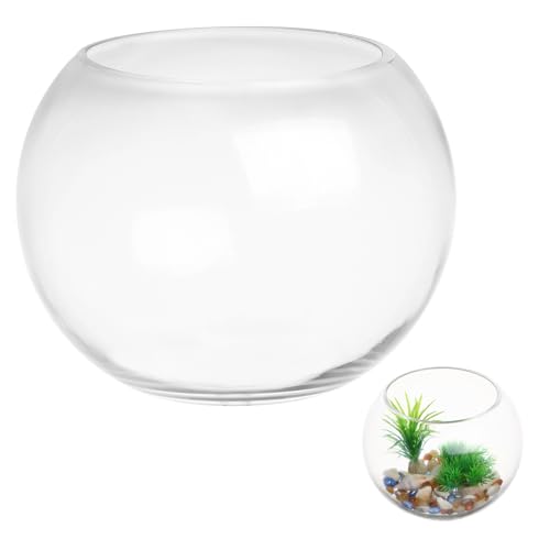 VALICLUD Transparenter Runder Fischbehälter Stabiles Aquarium für Goldfische und Kleine Fische Dekoratives Kleines Aquarium für Büro Wohnzimmer und Pflanzen Klares Fischglas VALICLUD Transparenter Runder Fischbehälter Stabiles Aquarium für Goldfische und Kleine Fische Dekoratives Kleines Aquarium für Büro Wohnzimmer und Pflanzen Klares Fischglas von VALICLUD