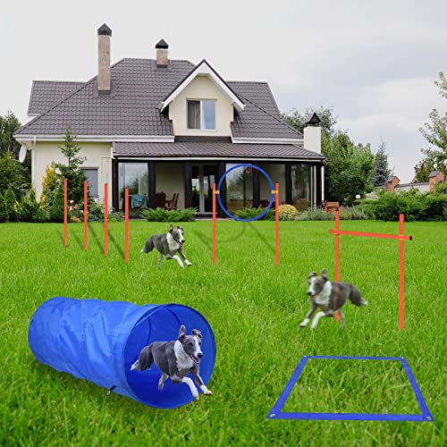 VANCHEMO Agility-Ausrüstungs Set für Hunde, Hindernisse Trainingsset inkl. Slalomstangen Höhenverstellbar, Hundetunnel, Springring & Tragetasche, für Hunde Training, Haustier VANCHEMO Agility-Ausrüstungs Set für Hunde, Hindernisse Trainingsset inkl. Slalomstangen Höhenverstellbar, Hundetunnel, Springring & Tragetasche, für Hunde Training, Haustier von VANCHEMO