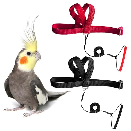 VANFAVORI Verstellbares Vogelgeschirr mit 203 cm Leine, Outdoor-Fliegen-Set, Trainingsseil für Vögel, Papageien, Nymphensittiche, Größe S, Gewicht 70-120 g, 2 Stück von VANFAVORI