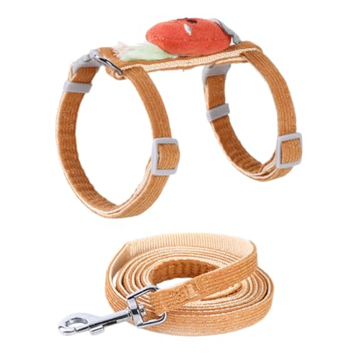 VANZACK Katzenzubehör - Haustier-kontrollseil - Bequem S - Haustier-trainingsleine von VANZACK