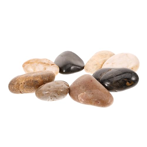 VANZACK 1 Satz Kopfsteinpflaster Vasenfüllersteine Gartenkiesel Pebble Blumentöpfe Dekorationen für Aquarien Steindekor Landschaftsbausteine Aquarium Felsen Zubehör Unterer Sand schmücken VANZACK 1 Satz Kopfsteinpflaster Vasenfüllersteine Gartenkiesel Pebble Blumentöpfe Dekorationen für Aquarien Steindekor Landschaftsbausteine Aquarium Felsen Zubehör Unterer Sand schmücken von VANZACK