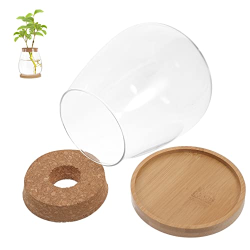 VANZACK 1 Satz Micro Landschaftsflasche mit Glasbehälter Terrarium für Dekoration als Tischverzierung und Aufbewahrung Transparentes Design für DIY Projekte von VANZACK