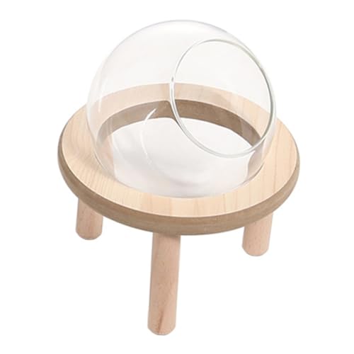 VANZACK 1 Set Glaskugel Badezimmer Hamstergehege Chinchillakäfig Hamsterbadewanne Meerschweinchenzubehör Großes Süßes Hamsterbad Hamsterbadewanne Dusche Sandbad Für Hamster Aus VANZACK 1 Set Glaskugel Badezimmer Hamstergehege Chinchillakäfig Hamsterbadewanne Meerschweinchenzubehör Großes Süßes Hamsterbad Hamsterbadewanne Dusche Sandbad Für Hamster Aus von VANZACK