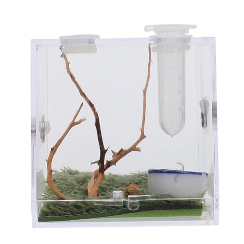 VANZACK 1 Set Springspinnen Zuchtbox Schildkröten Mikroskopische Welpenfigur Gecko Käfig Wirbellosen Betrachterglas Spinnen Mikro Lebensraum Vivarium Schildkrötentank Filter von VANZACK