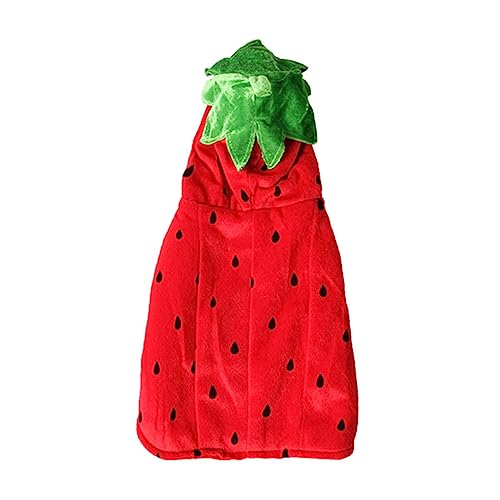 VANZACK 1 Stück Erdbeer -Haustierkleidung Hunde-Cosplay-Kostüm klein Hundeanzüge Erdbeer-Hundekostüm Halloween-Haustierkostüm Hoodies Welpenkostüme Hunde-Outfit süße Hundeoutfits Vlies rot VANZACK 1 Stück Erdbeer -Haustierkleidung Hunde-Cosplay-Kostüm klein Hundeanzüge Erdbeer-Hundekostüm Halloween-Haustierkostüm Hoodies Welpenkostüme Hunde-Outfit süße Hundeoutfits Vlies rot von VANZACK