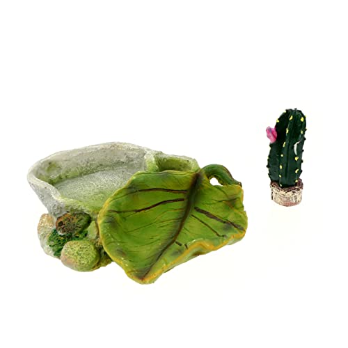 VANZACK 1 Stück Haustier -fütterungsschale Schüssel Wasser Gecko Futternapf Für Reptilien Schildkrötenfuttergericht Becken Schildkröte Zubehör Terrarienschale Green Kunstharz von VANZACK
