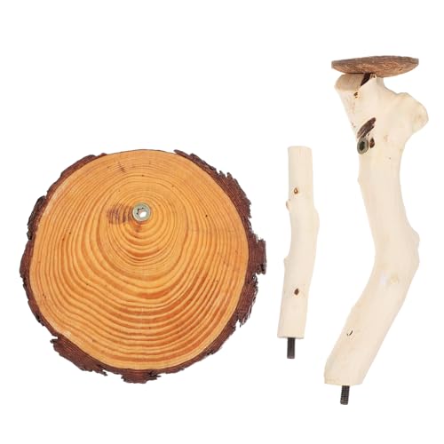 VANZACK Vogelspielständer Nymphensittich Spielplatz Haustier Vogel Übung Spielzeug Trainingsständer Holz Für Vögel Papageien Koordination Gleichgewicht von VANZACK