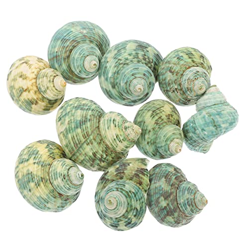 VANZACK 10 Stück Aquarium Landschaftsbau Muschel Aquariumdekorationen Krabbe Aquarium Dekoration Aquarium Schnecken gehäuse Unterwasser-Muscheldekore Muschelschalen-Ornamente Schrauben von VANZACK