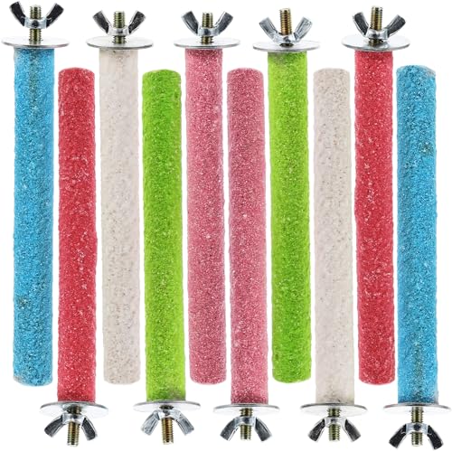 VANZACK 10St Farbe Matte Standstange Sittichkäfig Futterspender für Papageien Papagei Seilbarsch Hamster vogelstange vogelkäfig zubehör Vogel Stehen Papageienständer Barsch Holz VANZACK 10St Farbe Matte Standstange Sittichkäfig Futterspender für Papageien Papagei Seilbarsch Hamster vogelstange vogelkäfig zubehör Vogel Stehen Papageienständer Barsch Holz von VANZACK